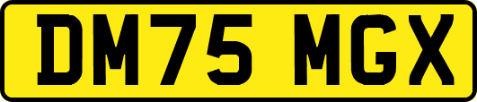 DM75MGX