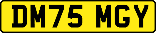 DM75MGY