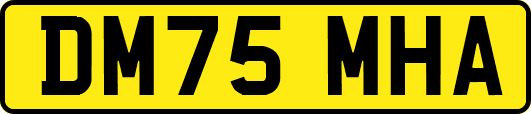 DM75MHA
