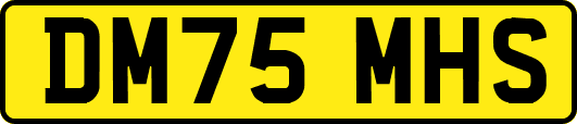 DM75MHS