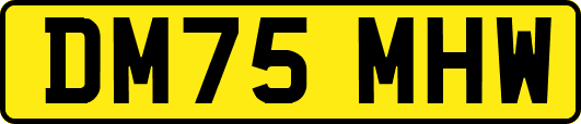 DM75MHW