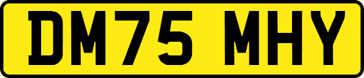 DM75MHY