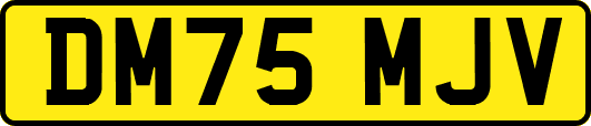 DM75MJV