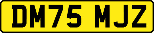 DM75MJZ