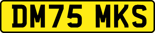 DM75MKS
