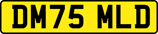DM75MLD