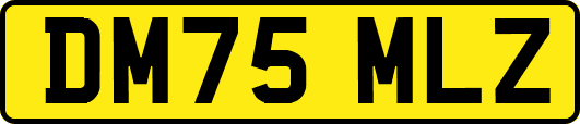 DM75MLZ