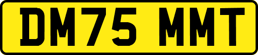 DM75MMT