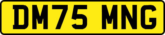 DM75MNG