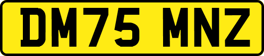 DM75MNZ