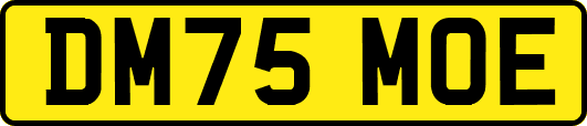DM75MOE