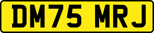 DM75MRJ