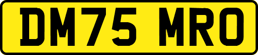 DM75MRO
