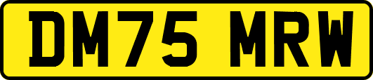 DM75MRW