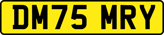 DM75MRY