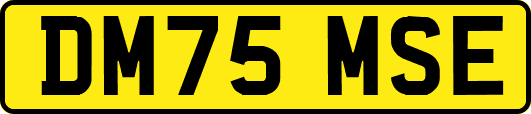 DM75MSE