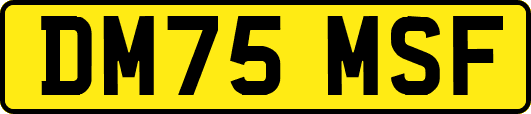 DM75MSF