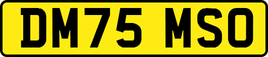 DM75MSO