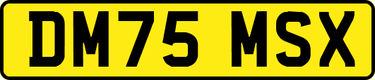 DM75MSX