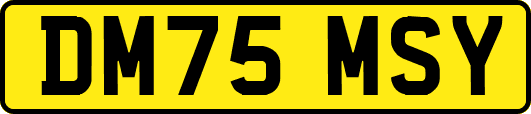 DM75MSY