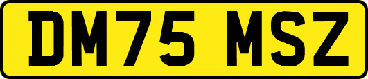 DM75MSZ