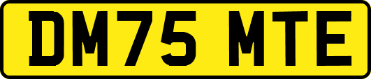 DM75MTE