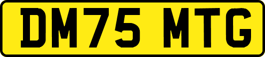 DM75MTG