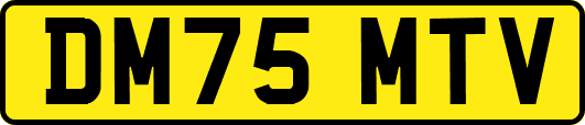 DM75MTV