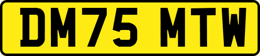 DM75MTW