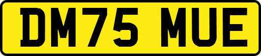 DM75MUE