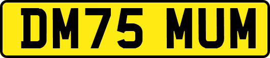 DM75MUM