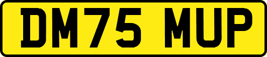 DM75MUP