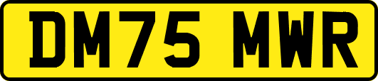 DM75MWR