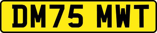 DM75MWT