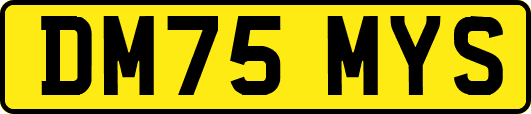 DM75MYS
