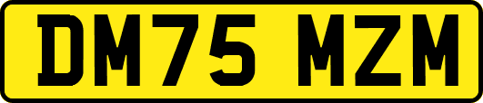 DM75MZM