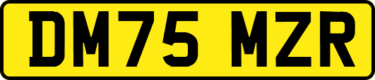 DM75MZR