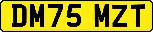 DM75MZT