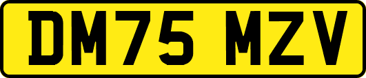 DM75MZV
