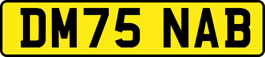 DM75NAB