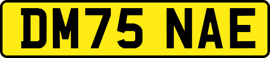 DM75NAE