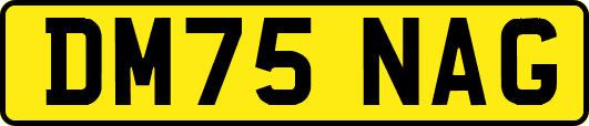DM75NAG