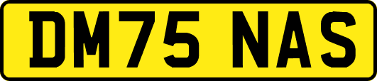 DM75NAS