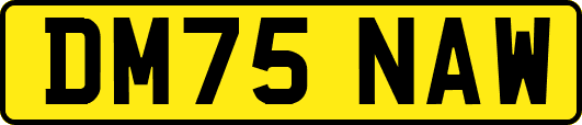 DM75NAW