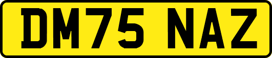 DM75NAZ