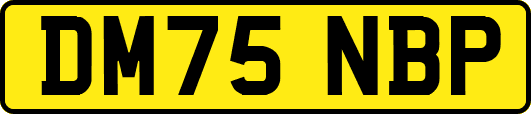 DM75NBP