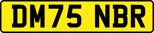 DM75NBR