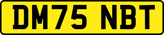 DM75NBT