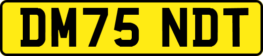 DM75NDT
