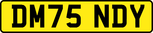 DM75NDY